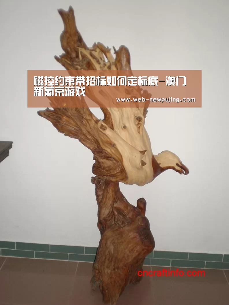 磁控约束带招标如何定标底-澳门新葡京游戏